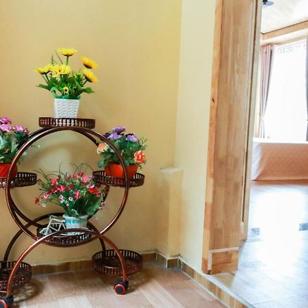 Cat Ba Vintage Homestay 깟바 외부 사진
