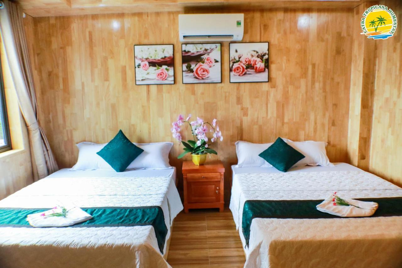 Cat Ba Vintage Homestay 깟바 외부 사진