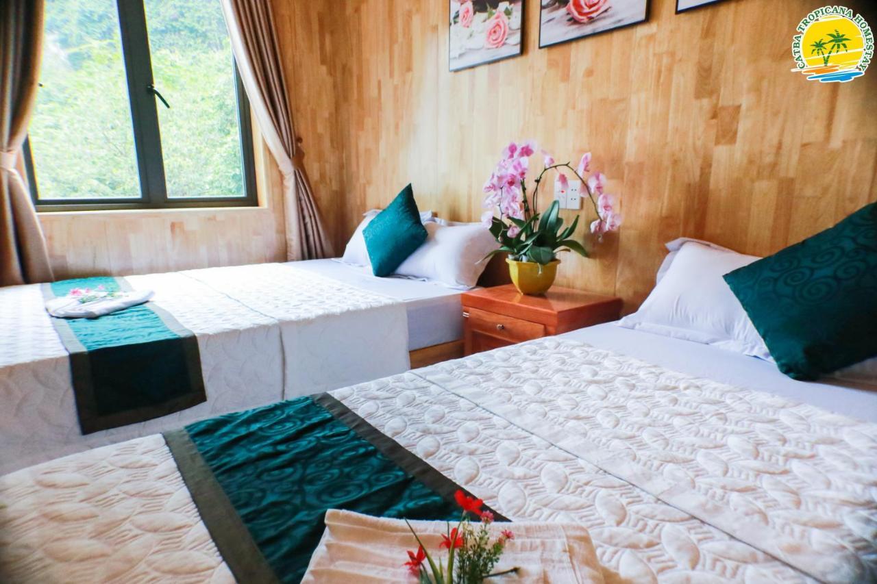 Cat Ba Vintage Homestay 깟바 외부 사진