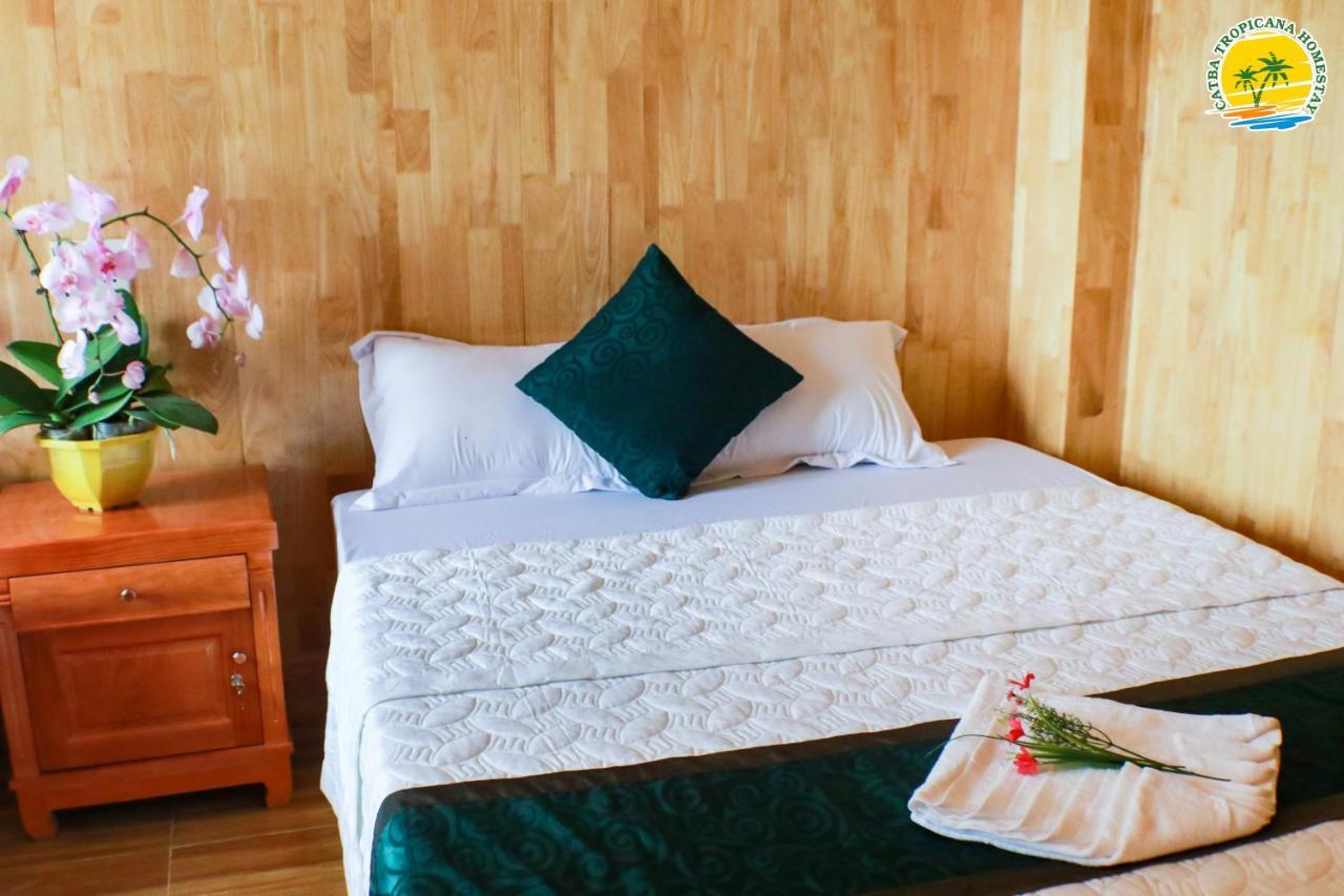 Cat Ba Vintage Homestay 깟바 외부 사진